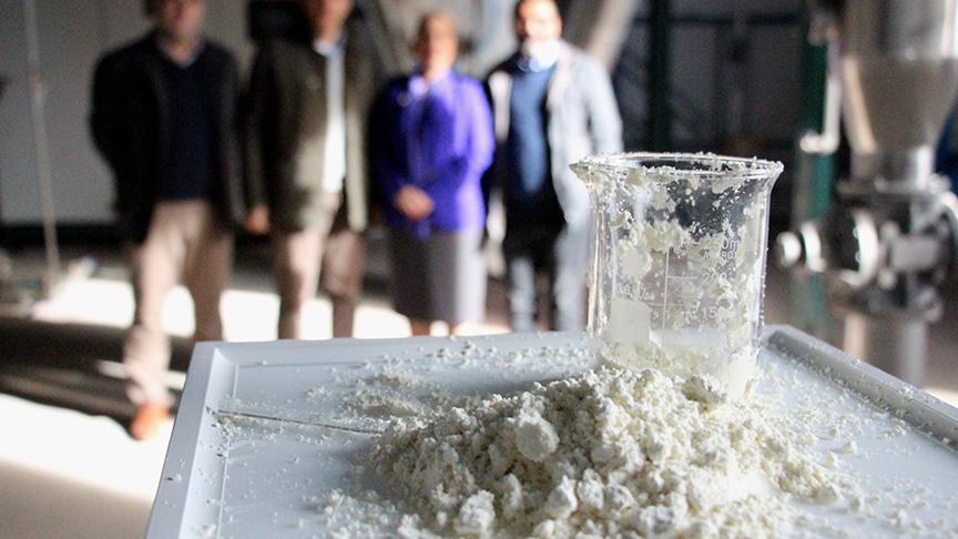Türkiye'nin ilk 'yerli ağız sütü tozu' üretildi