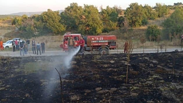 Talat Bilaoğlu: Anız yangını bir doğa katliamıdır