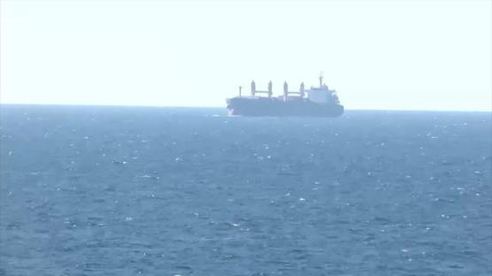 Ukrayna'dan çıkan 3 gemiden ikincisi de İstanbul açıklarına ulaştı