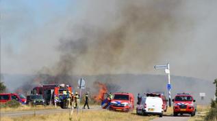 Hollanda'nın güney sahilinde orman yangını: Tatilciler tahliye edildi