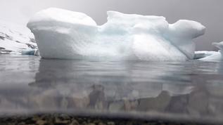 Antarktika'da buz sahanlığı sanılandan daha hızlı sürede eriyor olabilir