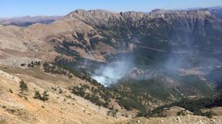 Adana'da orman yangını: Havadan ve karadan müdahale ediliyor