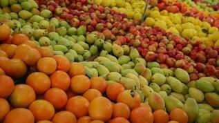 Türkiye kasımda 354,9 milyon dolarlık yaş meyve sebze ihraç etti