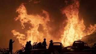 Şili'de orman yangınlarında 4 kişi hayatını kaybetti
