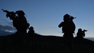 Pençe-Kilit operasyonu bölgesinde PKK'lı 2 terörist teslim oldu