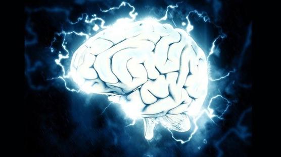 Bilim insanları beyindeki "iç pusulanın" nasıl çalıştığını tespit etti