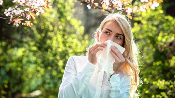 9 soruda bahar alerjisi testi