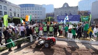 Brüksel'de çiftçiler Doğa Restorasyon Yasası'na karşı gösteri düzenledi