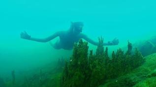 Şahika Ercümen'den Van Gölü'nde "sıfır atık dalışı"