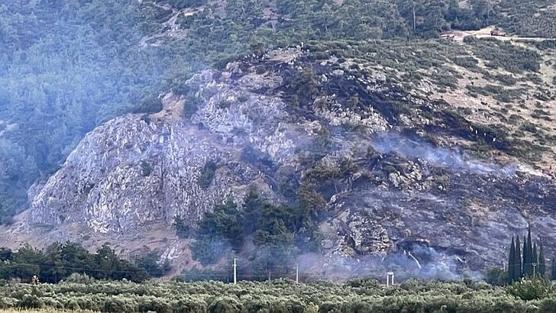 Manisa'da orman yangını bir saatte kontrol altına aldı