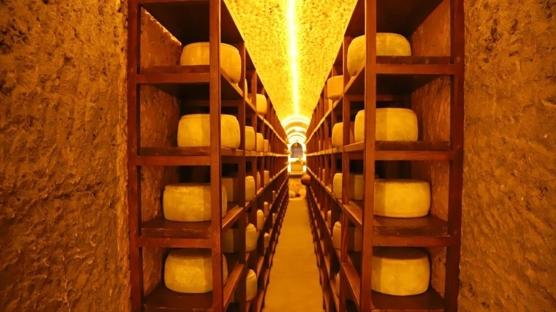Peynir müzesi