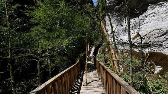 Horma Kanyonu'na ağaç kesilmeden yapılan yürüyüş yolu ziyaretçi sayısını üçe katladı