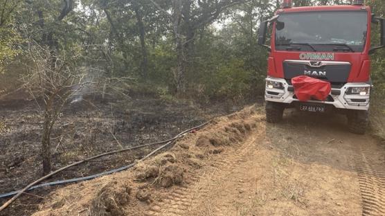 Edirne'de sınır hattında ormanlık alanda yangın çıktı