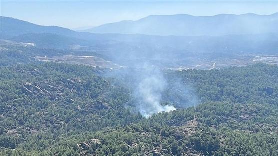 Muğla'da çıkan orman yangınına müdahale ediliyor