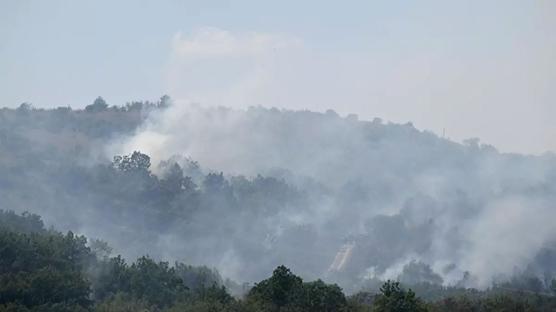 Türkiye-Bulgaristan sınırındaki yangın söndürüldü