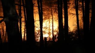 Çekmeköy'de ormanlık alanda çıkan yangına ekiplerin müdahalesi sürüyor