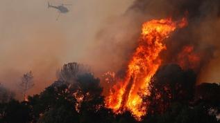 İtalya'daki orman yangınları sonucu 2 kişi öldü