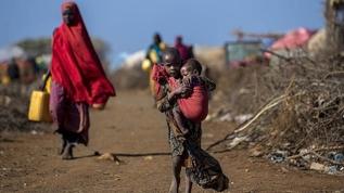 Etiyopya'da 1300'den fazla kişi açlıktan öldü