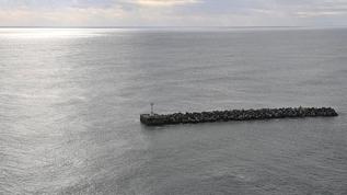Fukuşima'daki atık su, Çin'e deniz mahsulleri ihracatını düşürdü