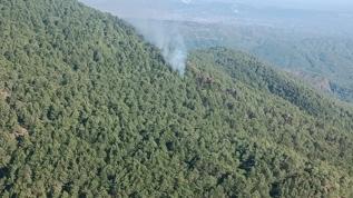 Hatay'da orman yangını: Ekiplerin müdahalesi sürüyor