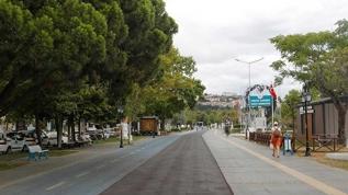 Şehir peyzajlarında doğal bitki kullanın