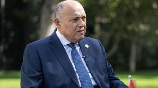 Mısır Dışişleri Bakanı Şukri'den Türkiye açıklaması