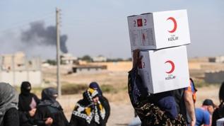 Türkiye'den kardeş Gazze'ye 2 bin tonu aşkın yardım