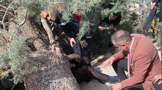 Burdur'da üzerine ağaç devrilen belediye başkan adayı ve oğlu ağır yaralandı 