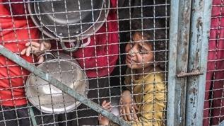 BM: Gazze'de 1 milyondan fazla kişi “aşırı gıda güvensizliğine” maruz kalıyor