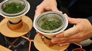 Japonya'da ilk hasat yeşil çayın kilosu 7 bin 200 dolara satıldı