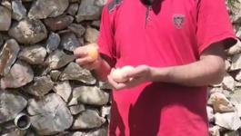 demo