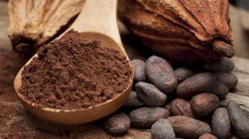 kakao tozu kalp sağlığı