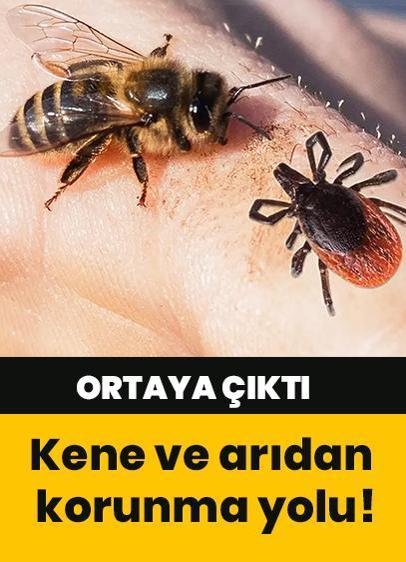 Kene ve arıdan korunmak bu kadar basitmiş!