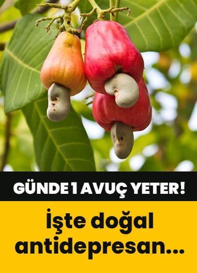 1 avuç yemek gün boyu gülümsemenize yardımcı olacak! Bu kuruyemişte doğal antidepresan gizli