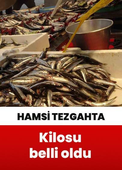 Hamsi tezgaha çıktı! Kilosu 200-250 TL