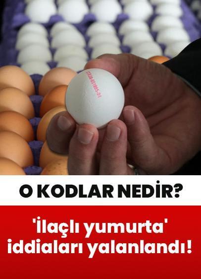 Yumurtalardaki numaralar ne anlama geliyor? İşte yanıtı...