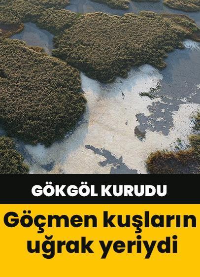 İklim krizi vurdu: Konya'daki Gökgöl kurudu