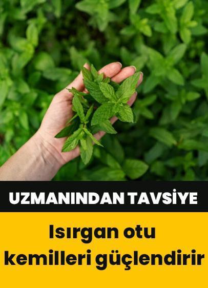 Uzmandan tavsiye: Isırgan otu kemilleri güçlendirir