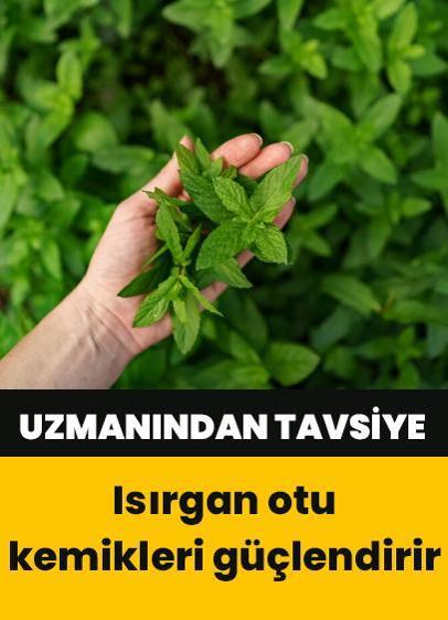 Uzmandan tavsiye: Isırgan otu kemikleri güçlendirir