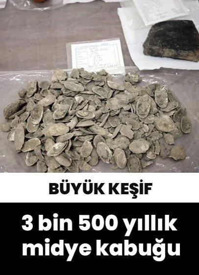 3 bin 500 yıllık midye kabuğu