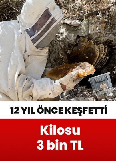 Kilosu 3 bin TL! Gezerken keşfetti, yurt dışından talep çok