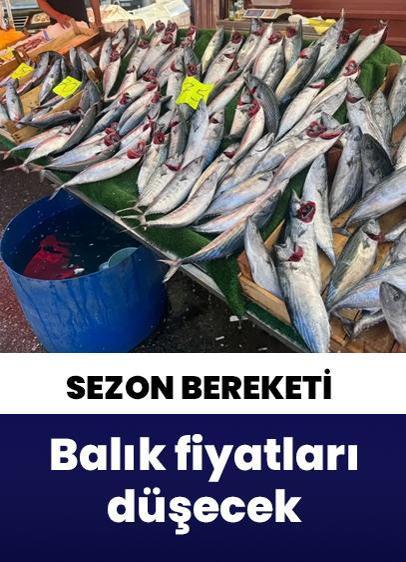 Balık fiyatları düşecek