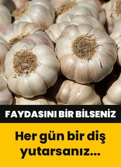 Her gün bir diş sarımsak yutarsanız...