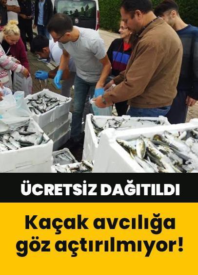 Kaçak avcılığa göz açtırılmıyor! Denetimler vatandaşa yaradı