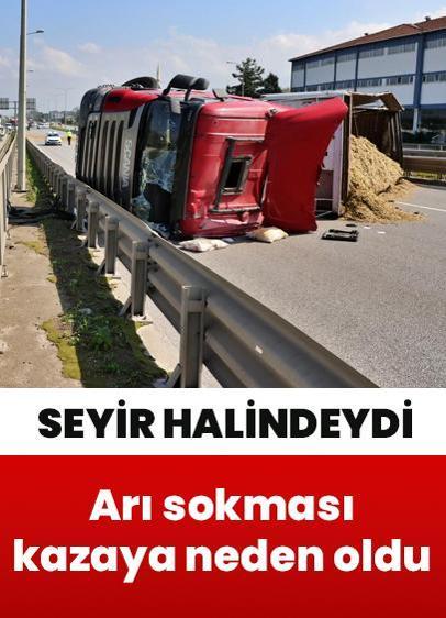 Arı sokması kazaya neden oldu