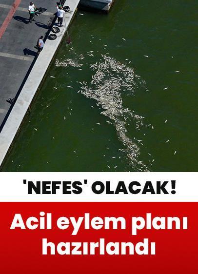 Acil ve Kısa Vadeli Eylem Planı hazırlandı