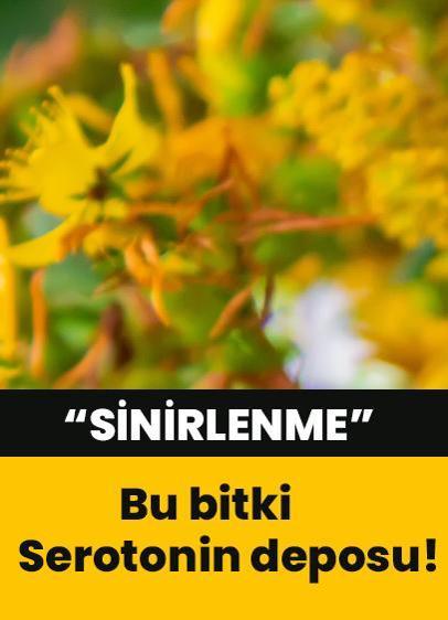 Siniri, stresi mutsuzluğu bitiriyor! Çelik gibi sağlam sinirlerim olsun diyorsan