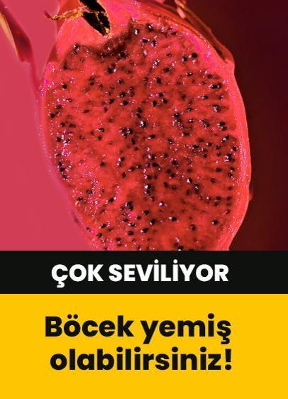 Böcek yemiş olabilirsiniz! Karmin böceği ile ilgili tüm bilgiler