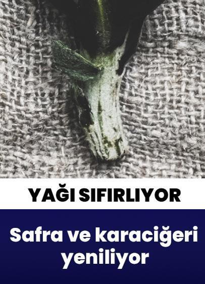 Safra ve karaciğerinizin onarıcısı adeta yağlanmayı sıfırlıyor