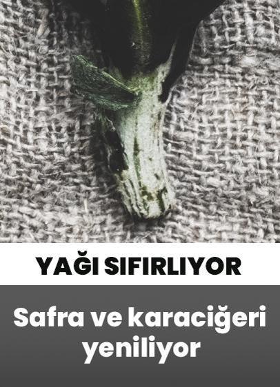 Safra ve karaciğerinizin onarıcısı adeta yağlanmayı sıfırlıyor